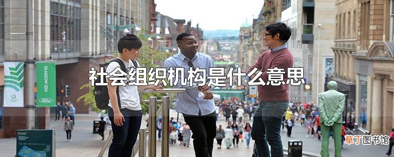 社会组织机构是什么意思