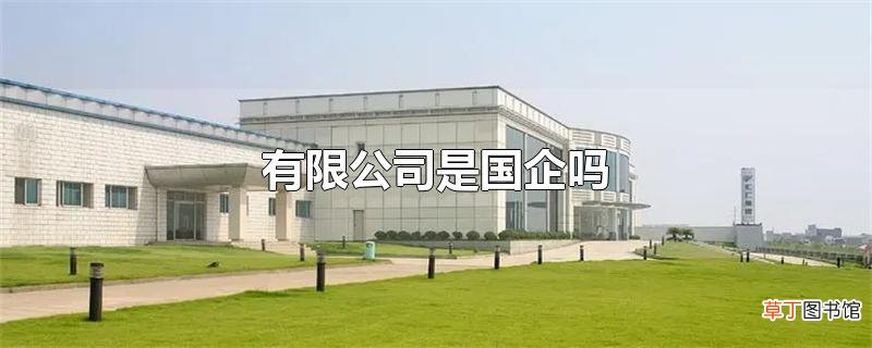 有限公司是国企吗