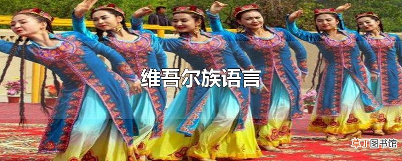 维吾尔族语言