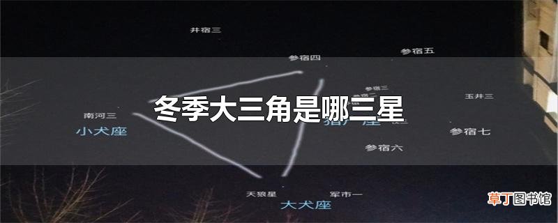 冬季大三角是哪三星