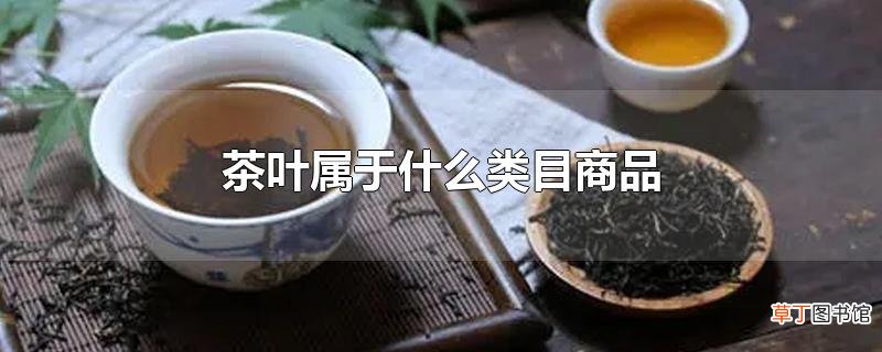 茶叶属于什么类目商品
