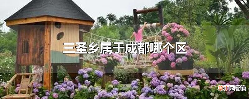 三圣乡属于成都哪个区