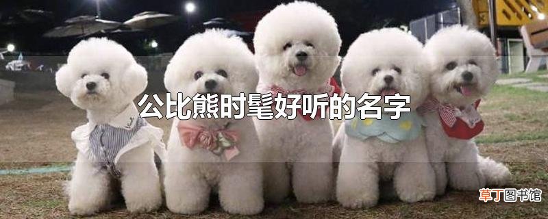 公比熊时髦好听的名字