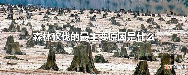 森林砍伐的最主要原因是什么