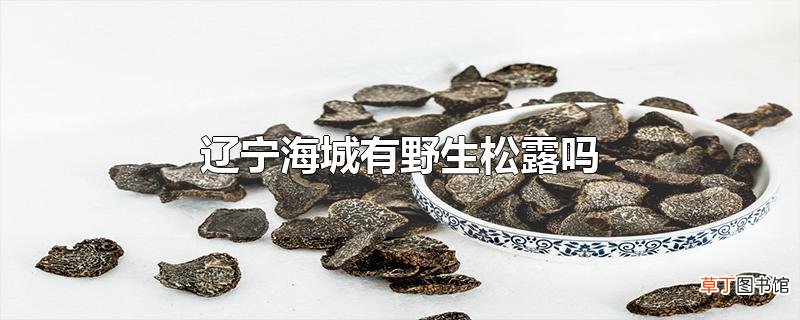 辽宁海城有野生松露吗