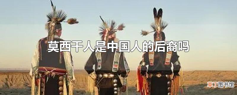 莫西干人是中国人的后裔吗