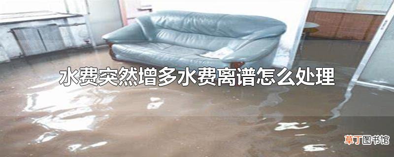 水费突然增多水费离谱怎么处理