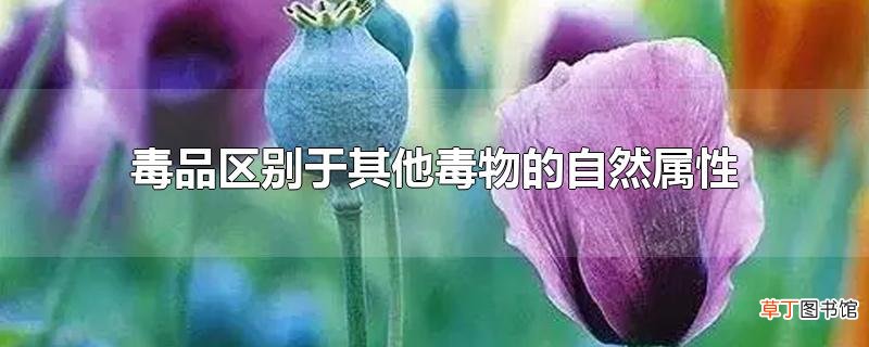 毒品区别于其他毒物的自然属性