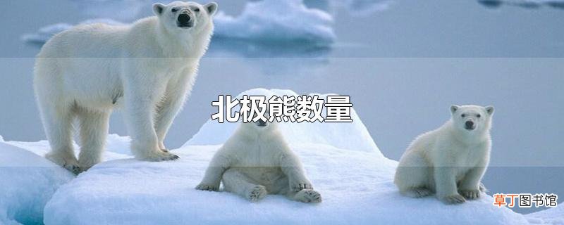 北极熊数量