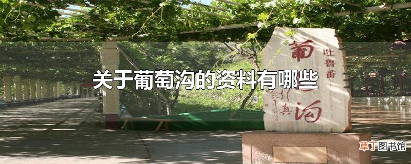 关于葡萄沟的资料有哪些