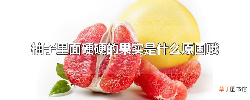 柚子里面硬硬的果实是什么原因哦