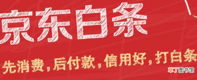 京东白条是什么意思？
