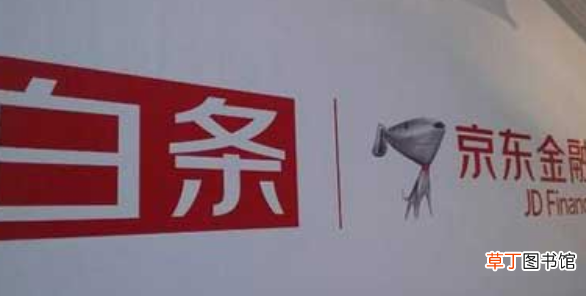 京东白条是什么意思？