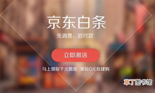 京东白条是什么意思？