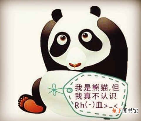 熊猫血是什么血型