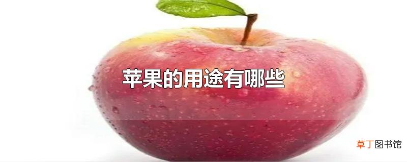 苹果的用途有哪些