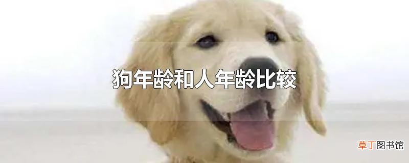 狗年龄和人年龄比较