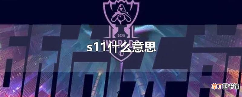 s11什么意思
