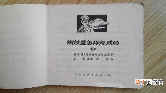 《钢铁是怎样炼成的》梗概是什么？