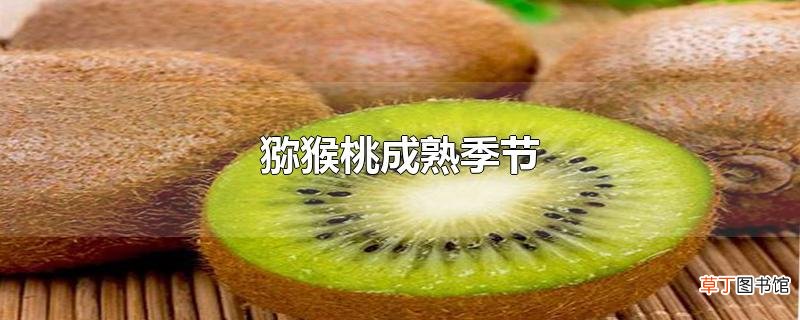 猕猴桃成熟季节