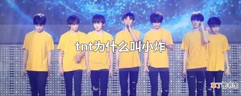 tnt为什么叫小炸