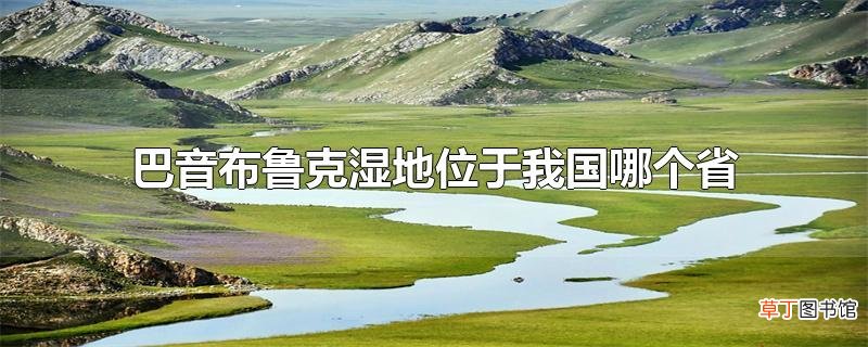 巴音布鲁克湿地位于我国哪个省