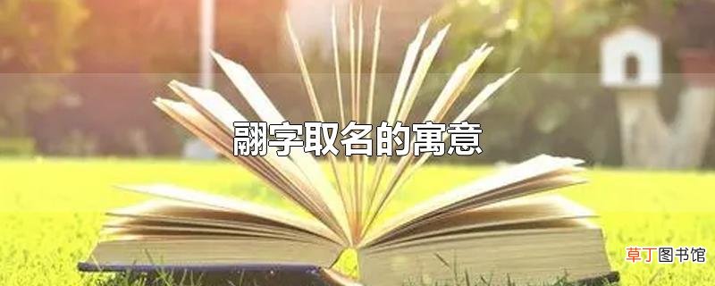 翮字取名的寓意