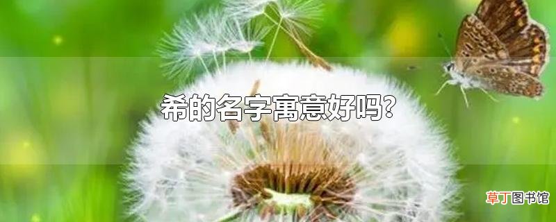 希的名字寓意好吗?