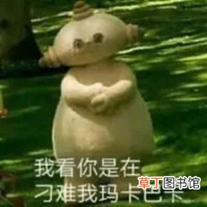 玛卡巴卡是什么梗?玛卡巴卡是一种生活状态