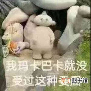 玛卡巴卡是什么梗?玛卡巴卡是一种生活状态
