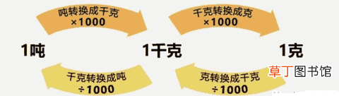 kg是什么单位名称?比较质量单位千克、克和吨
