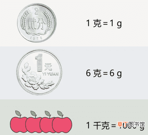 kg是什么单位名称?比较质量单位千克、克和吨