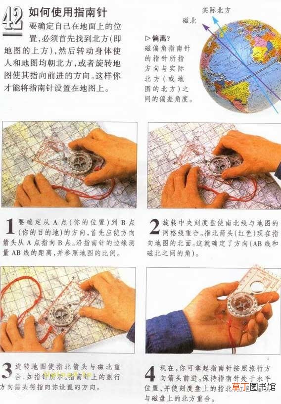 指南针怎么看?大自然的指南针有哪些
