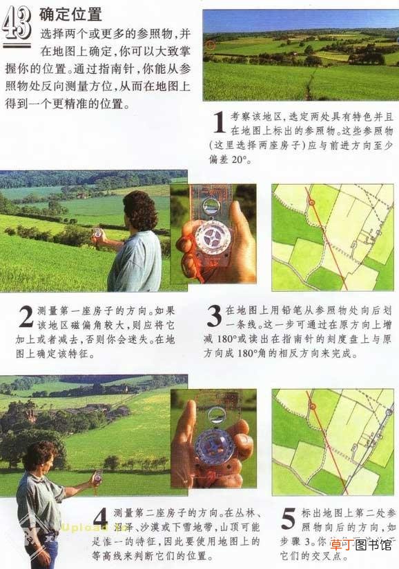 指南针怎么看?大自然的指南针有哪些