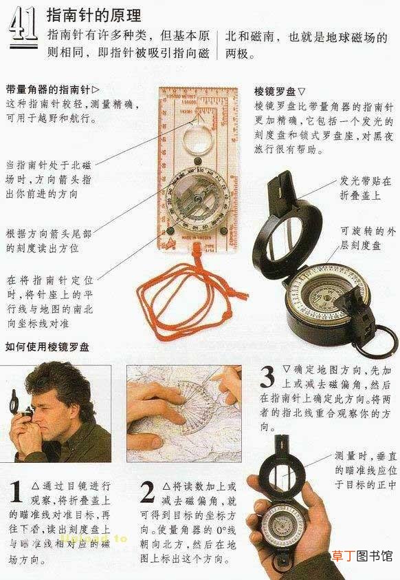 指南针怎么看?大自然的指南针有哪些