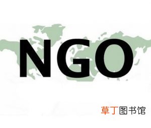 NGO是什么意思?NGO非政府组织成立目的