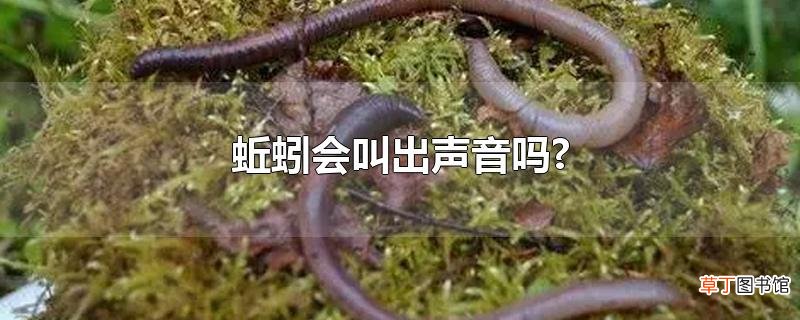 蚯蚓会叫出声音吗?