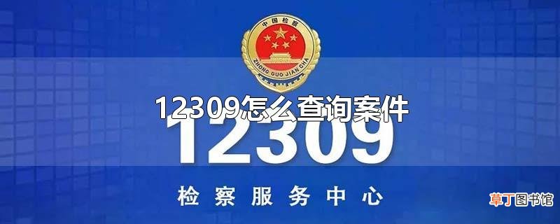 12309怎么查询案件