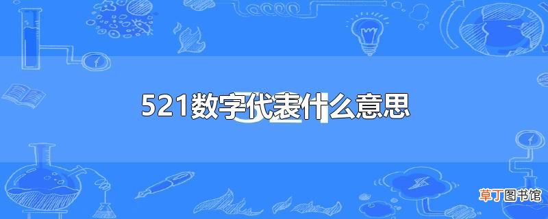 521数字代表什么意思