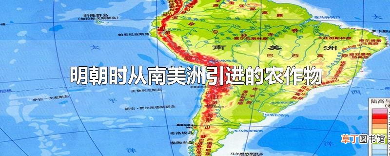 明朝时从南美洲引进的农作物