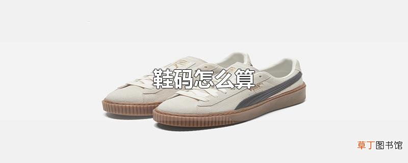 鞋码怎么算
