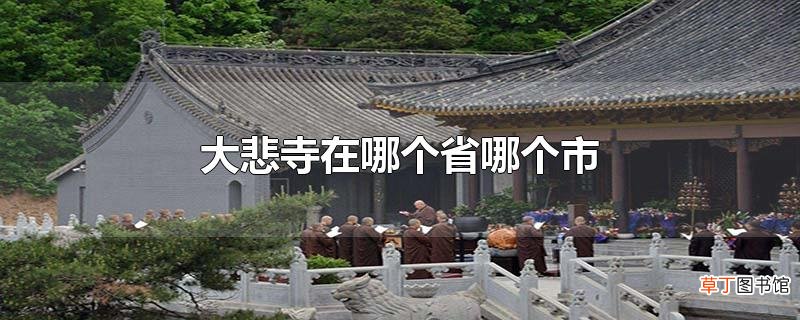 大悲寺在哪个省哪个市