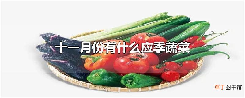 十一月份有什么应季蔬菜
