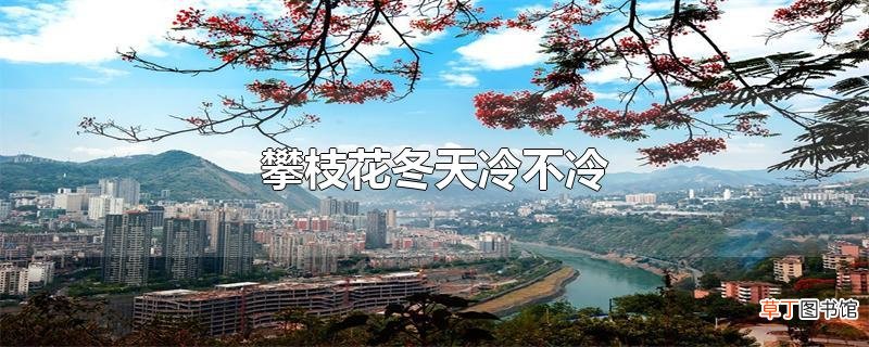 攀枝花冬天冷不冷