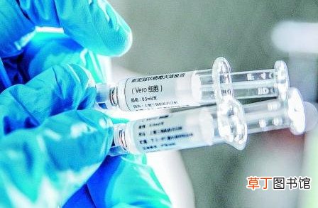 新冠肺炎疫苗注射部位是哪里 新冠肺炎疫苗打在哪个部位新冠疫苗打手臂还是屁股