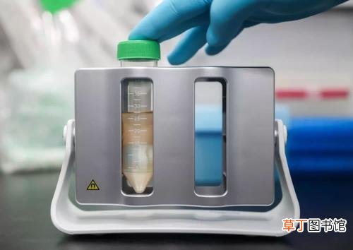 ?新冠疫苗和HPV不能同打吗 打了新冠疫苗多久能打宫颈疫苗