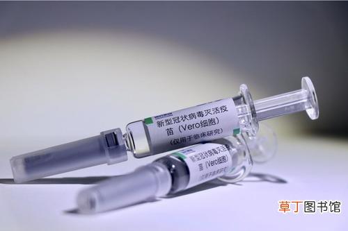 ?新冠疫苗和HPV不能同打吗 打了新冠疫苗多久能打宫颈疫苗