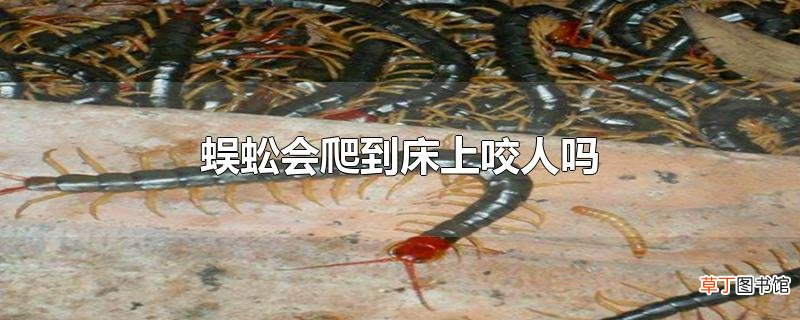 蜈蚣会爬到床上咬人吗