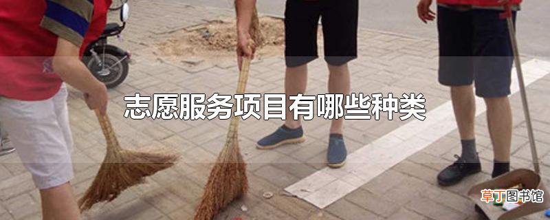 志愿服务项目有哪些种类