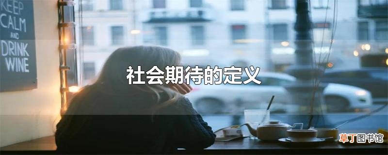 社会期待的定义